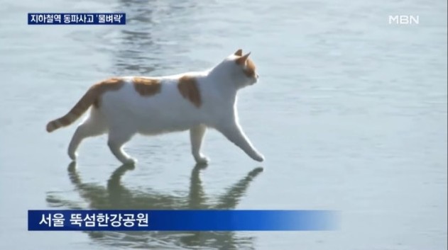 금별맥주 덕천점 이미지