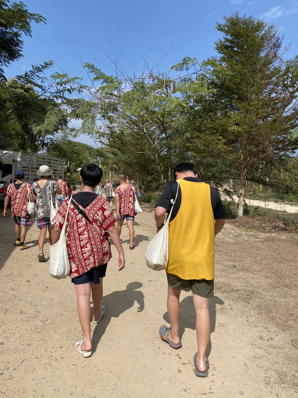 코끼리투어 이미지