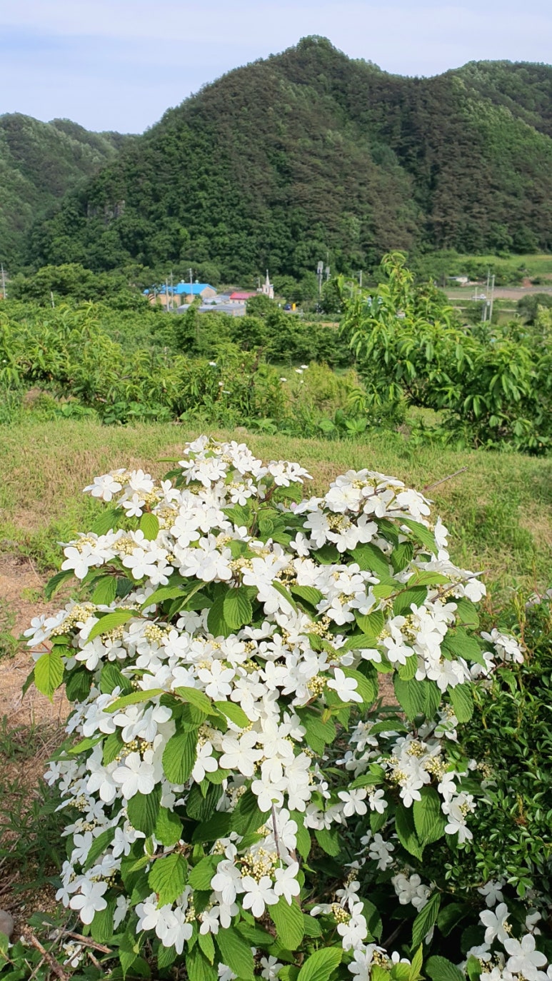 사계나무공방 이미지