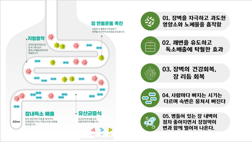(주)자담인 이미지