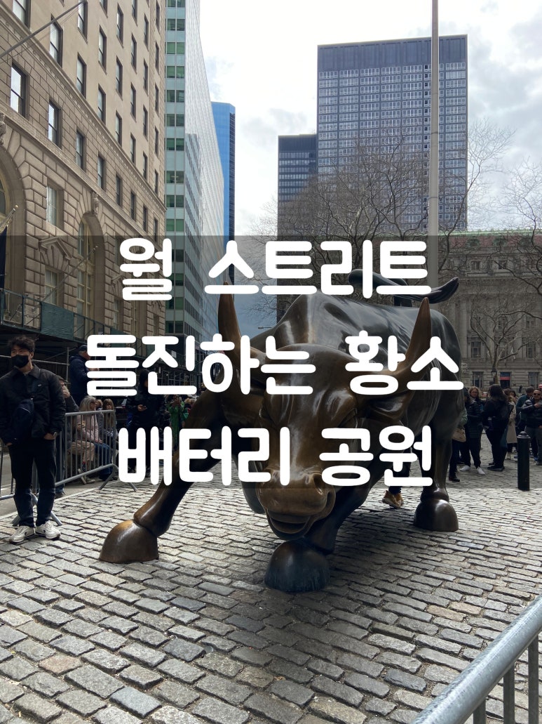 황소밧데리 이미지