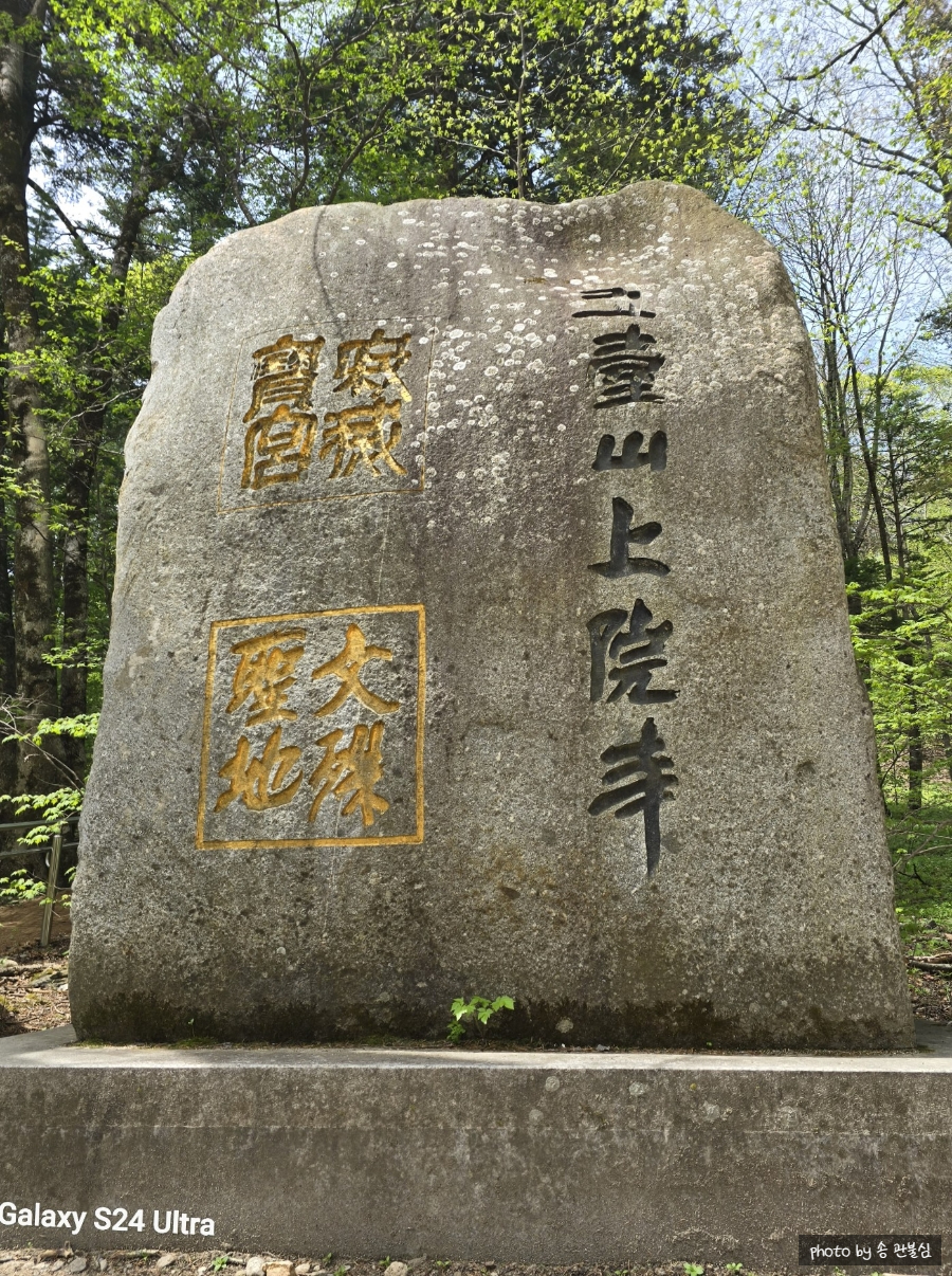 대한불교 진여원 이미지