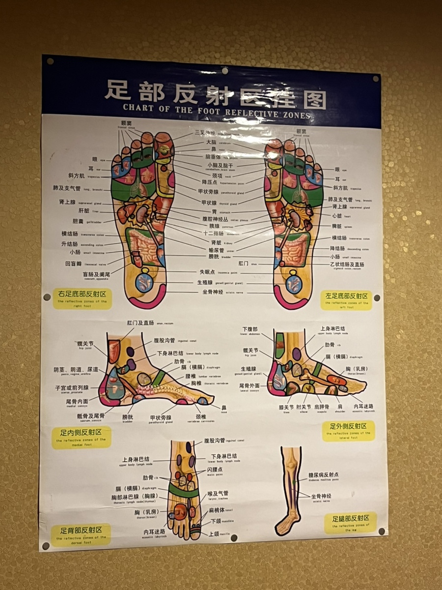 황제발관리 이미지