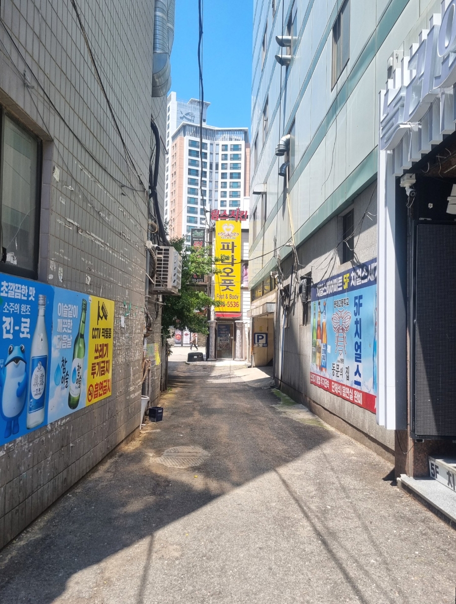 파라오풋 이미지
