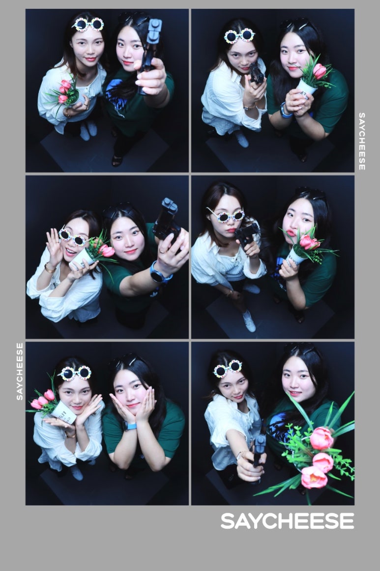 세이치즈 이미지