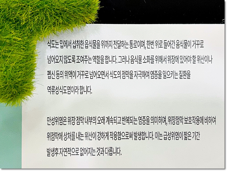 황지모한의원 이미지