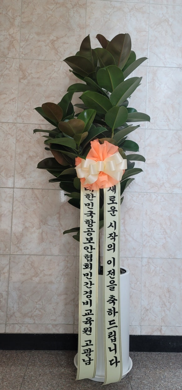 현우당 이미지