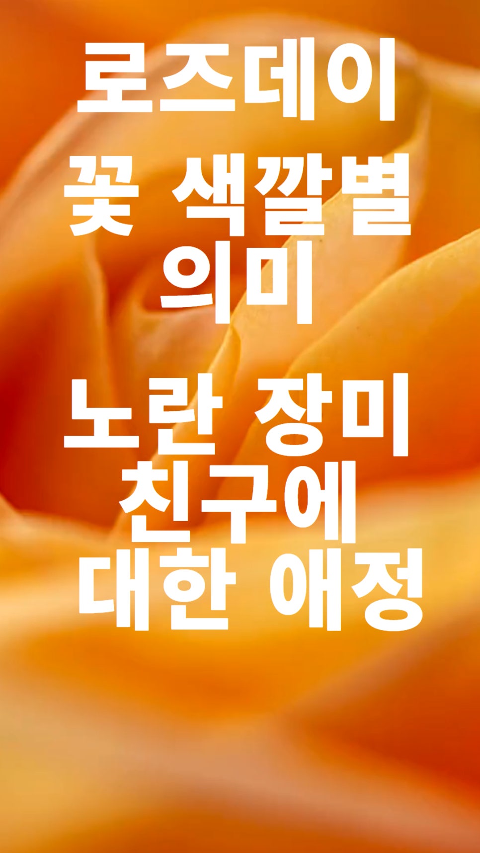에스애드 이미지