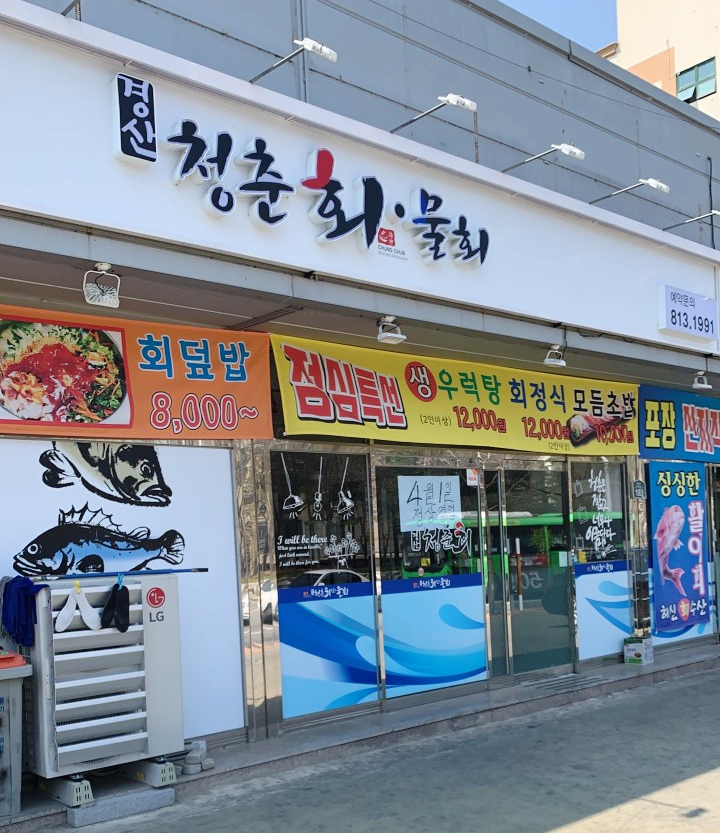 청춘회물회 이미지