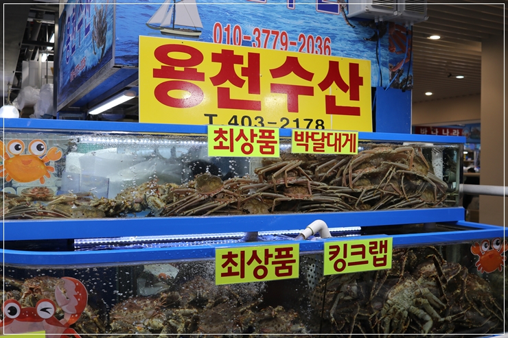 보람수산 이미지