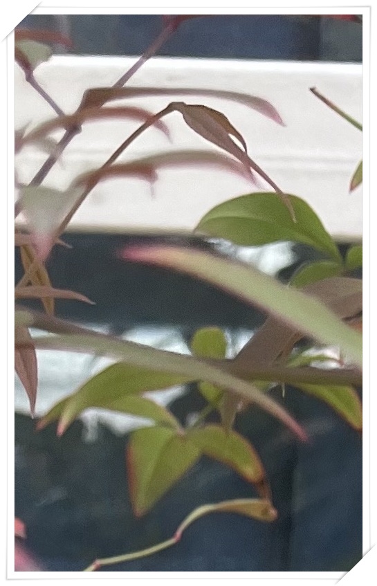 금천이엔이치과의원 이미지