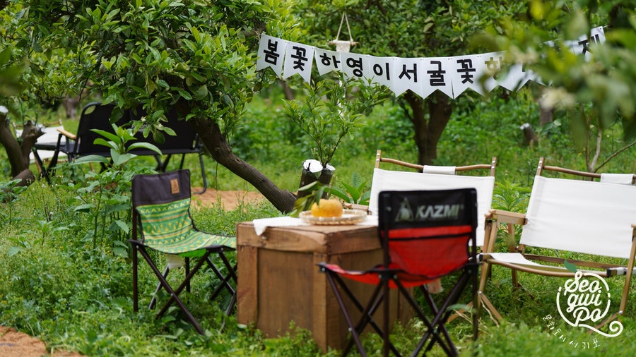 귤꽃푸드 이미지