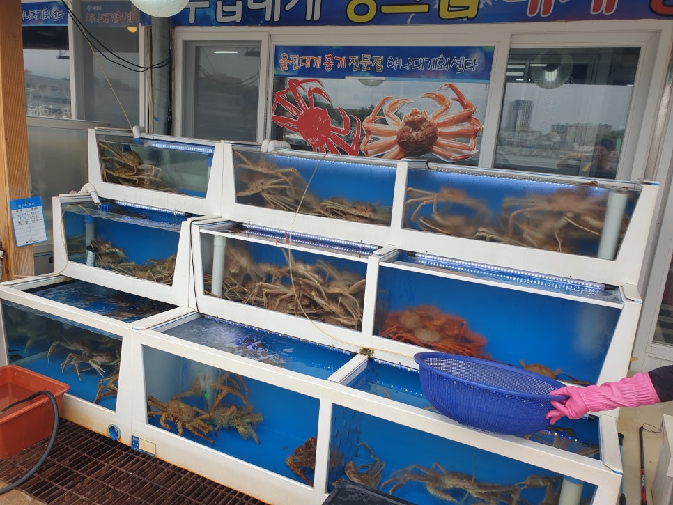 박가네회센터 이미지