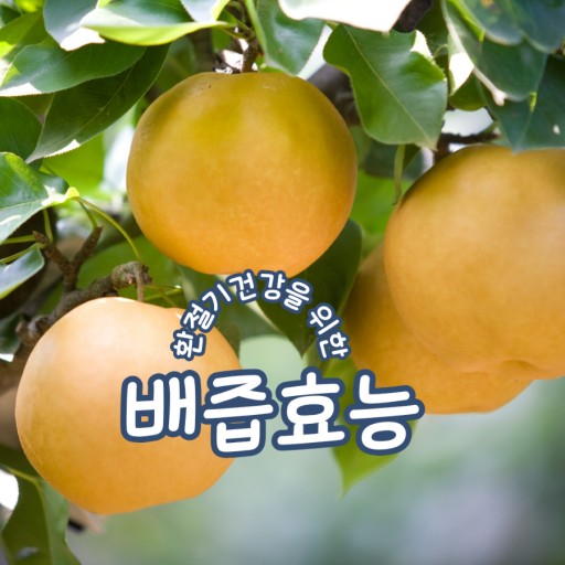 두리식품 이미지