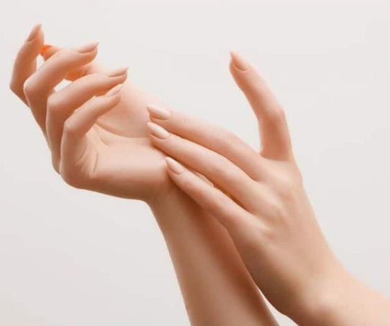 마이네일 이미지