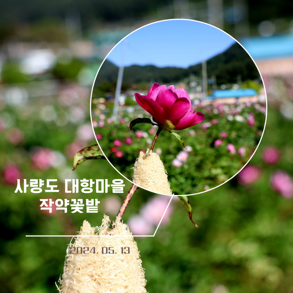 사량도펜션1 이미지