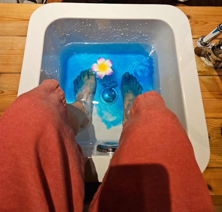 카시아타이용인 이미지