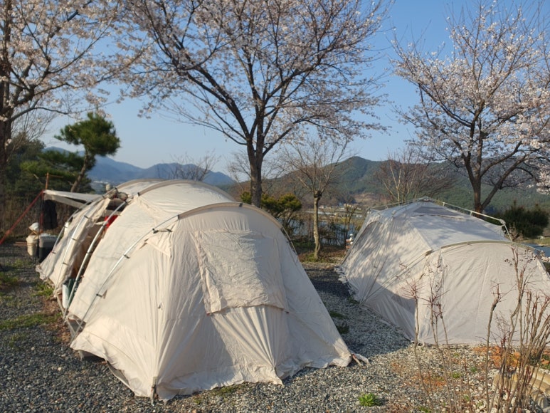 옥산 호수정원(진달래 관광농원) 이미지