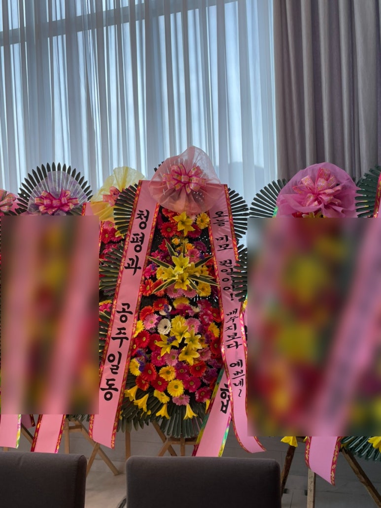 아모르제이 이미지