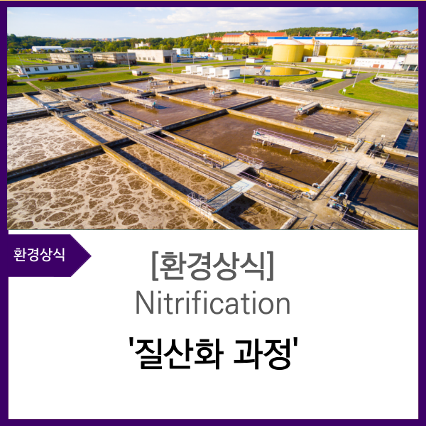 에닌주식회사 이미지