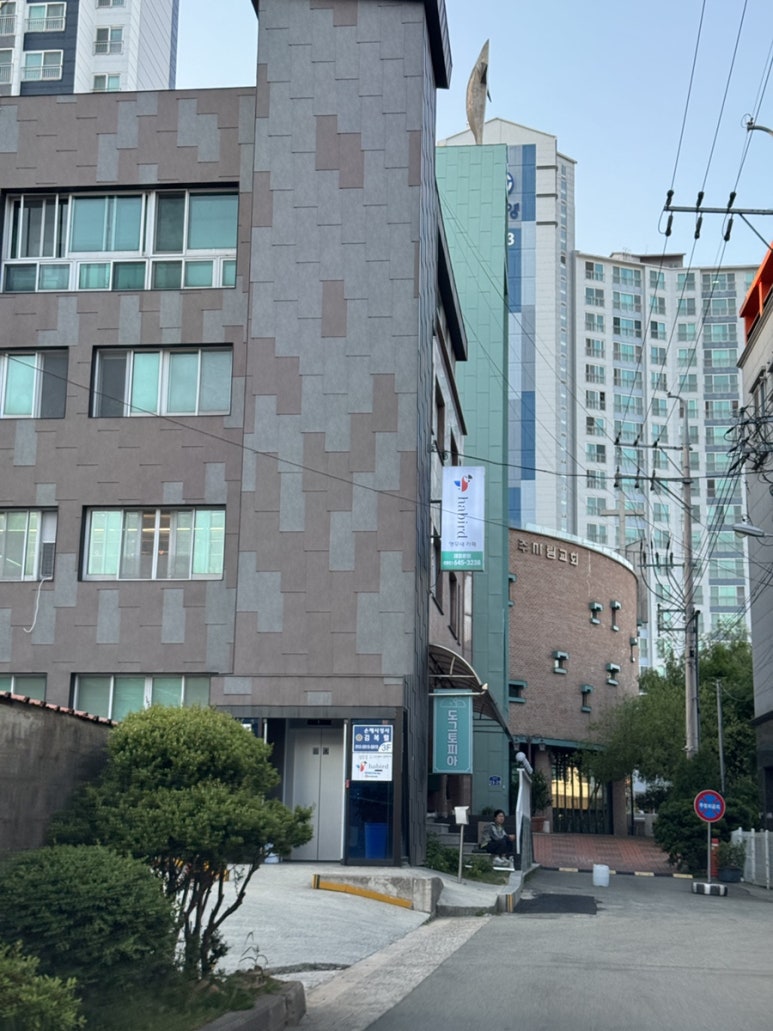 하버드앵무새카페 이미지