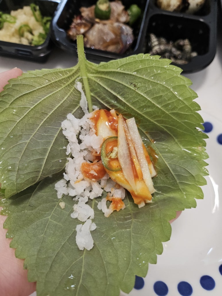 바다회센타 이미지