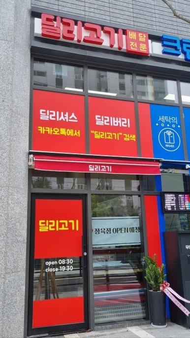 딜리고기 이미지