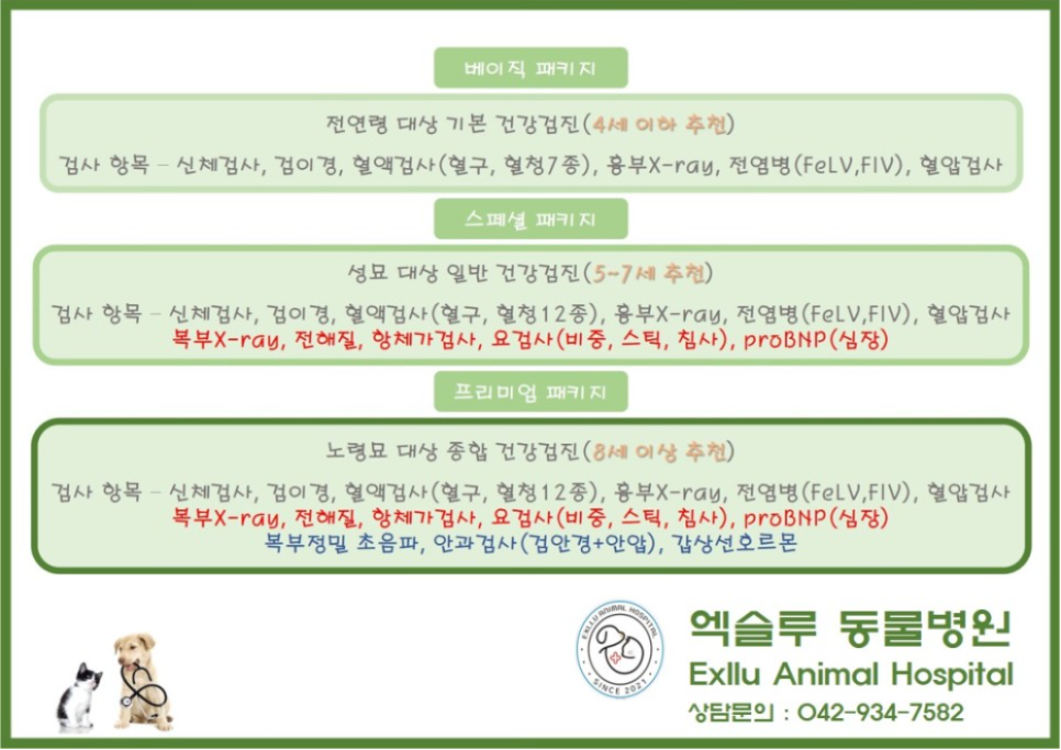 대전나무병원 이미지