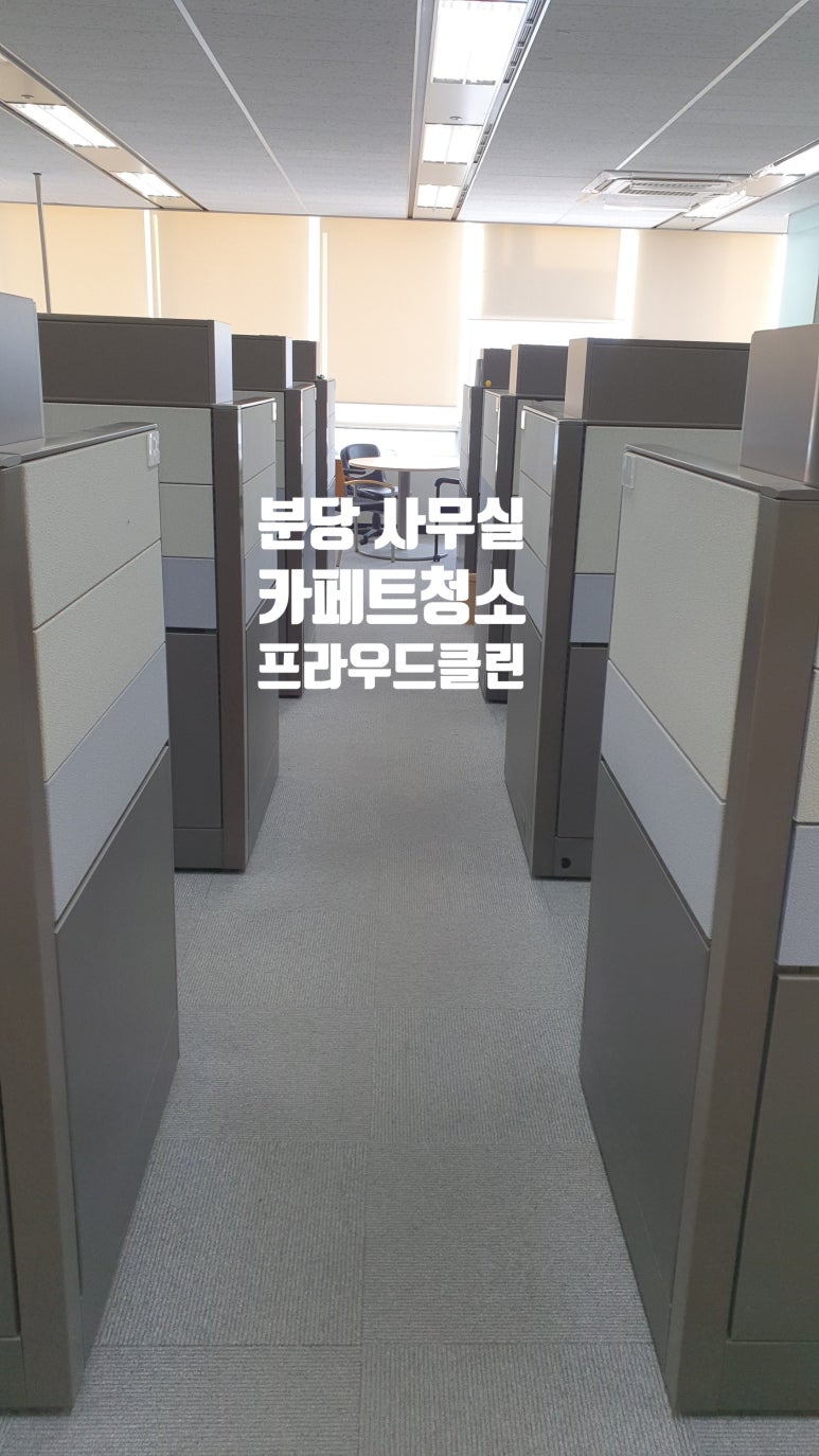 프라우드 클린 이미지