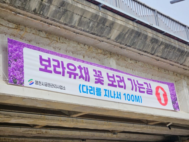 와플대학영천캠퍼스 이미지