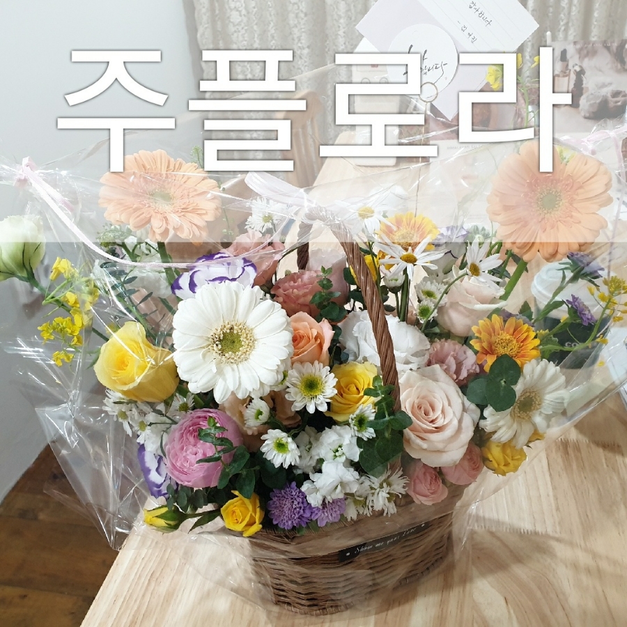 주플로 이미지