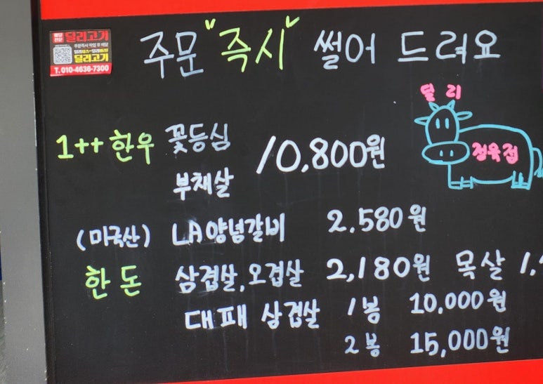 딜리고기 이미지