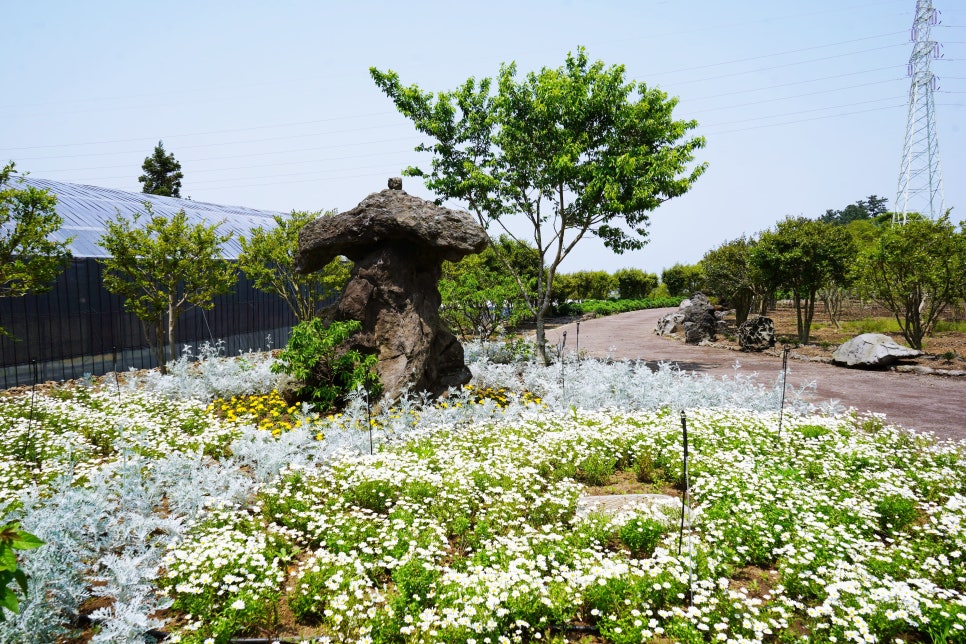 식물하나담다 이미지