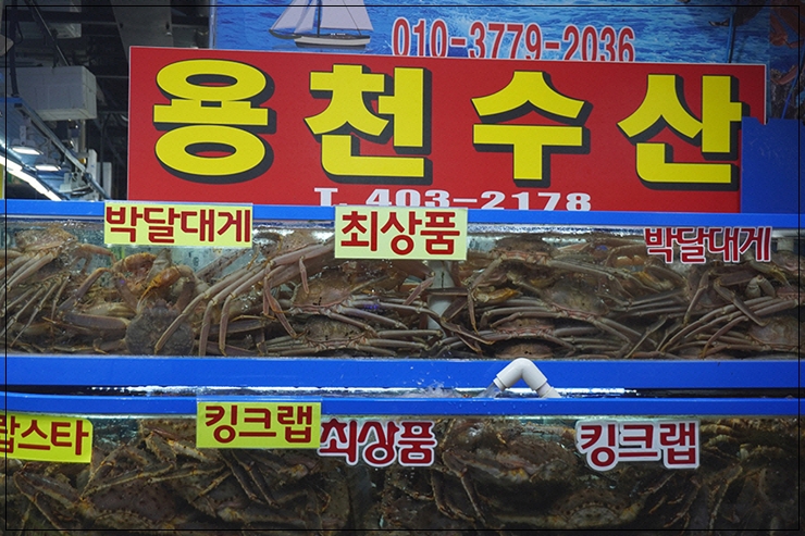 가락활어회센터 이미지