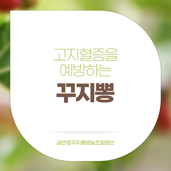 영농조합법인 무궁무진 이미지
