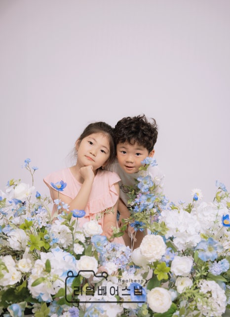 베어스냅 이미지