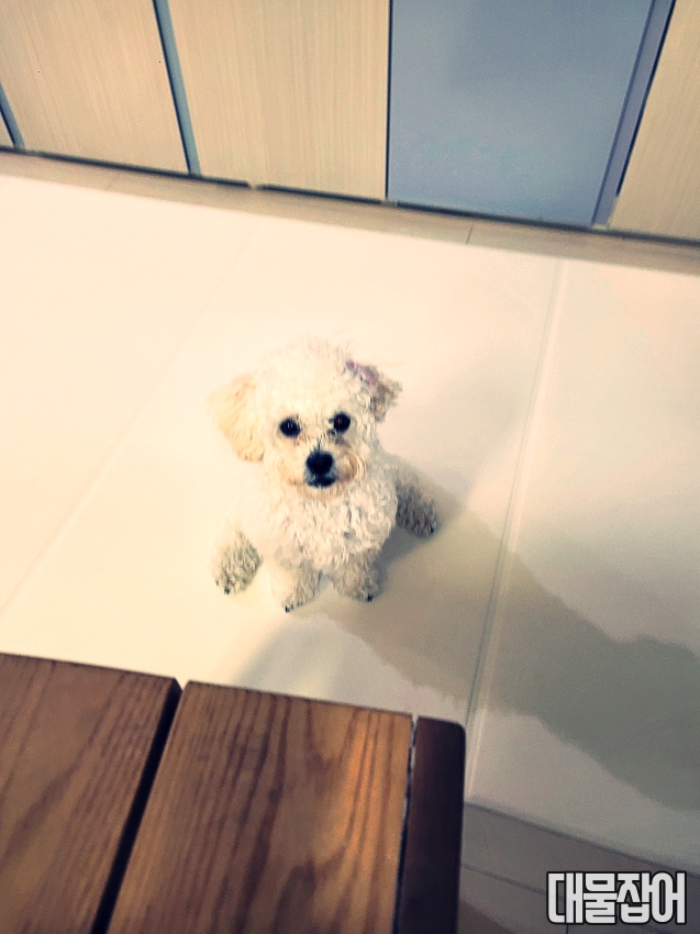 어진수산 이미지