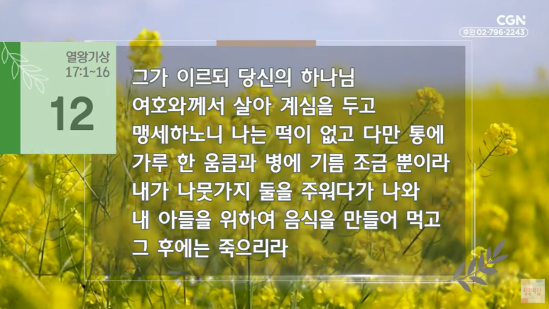 그릿시냇가 이미지
