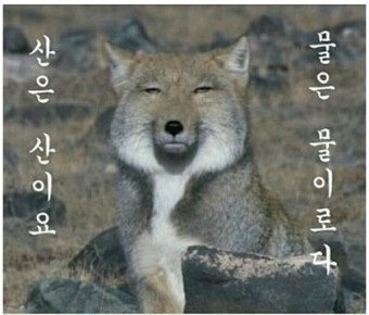 일광횟집 이미지