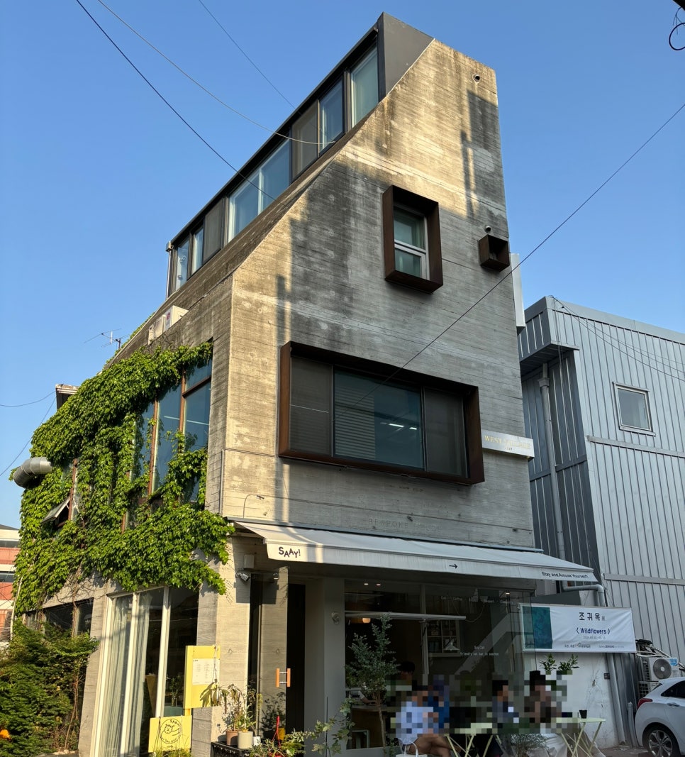 르마오 이미지