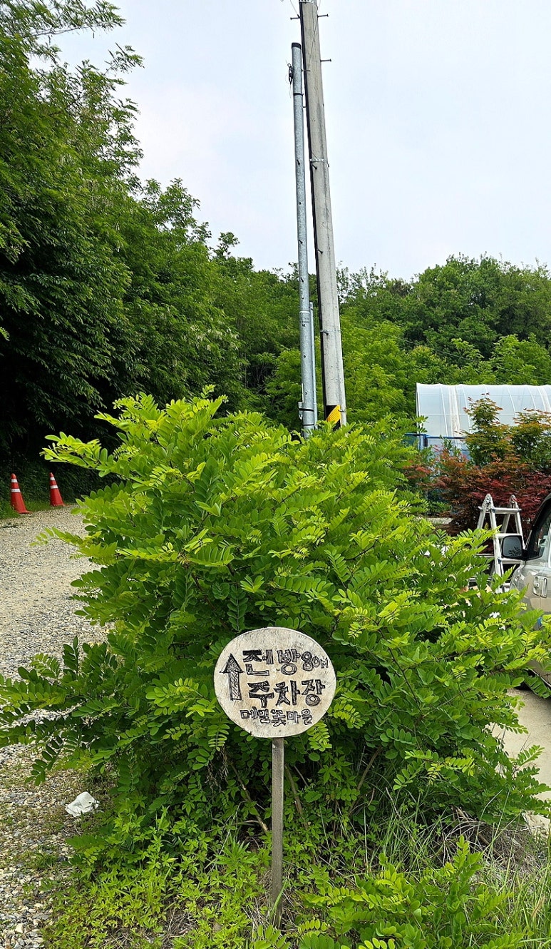 푸른꽃마을 이미지