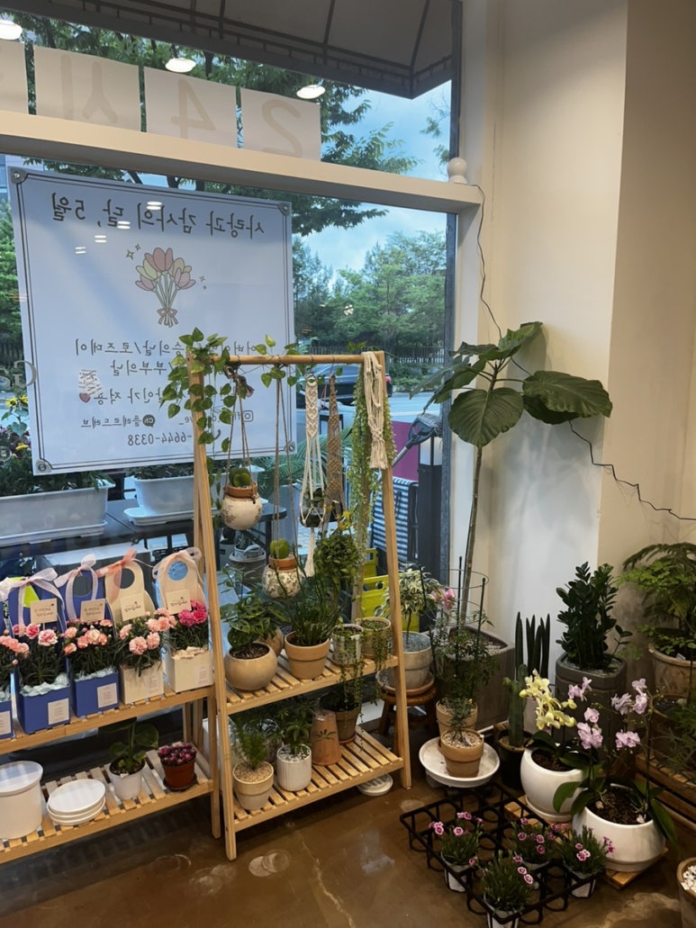 플레르드레브 이미지
