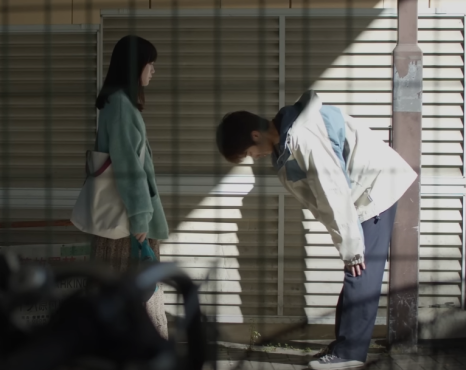하나노세이 이미지