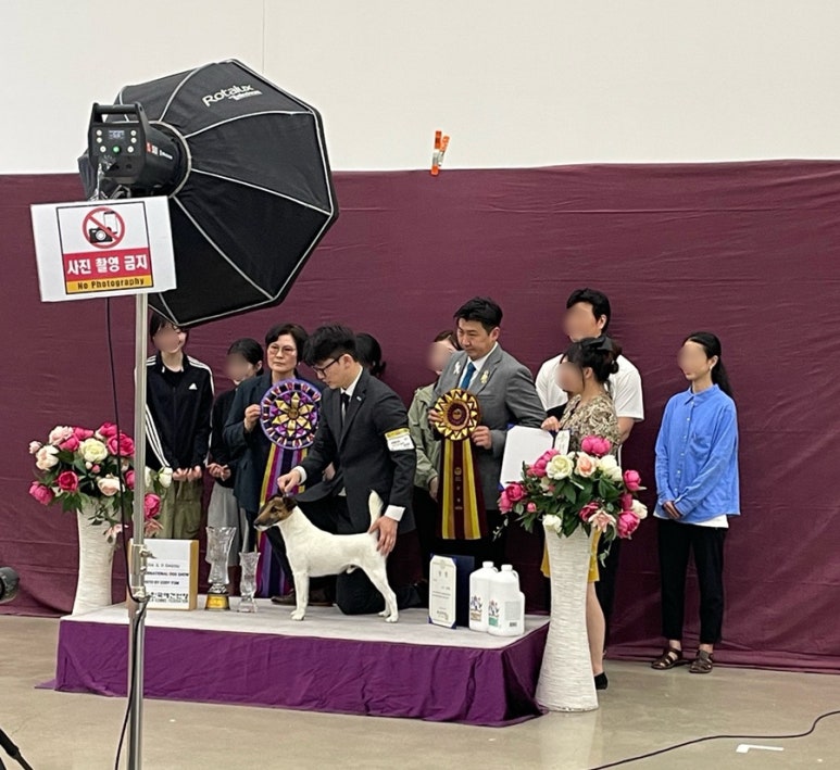 구미펫직업훈련학원 이미지