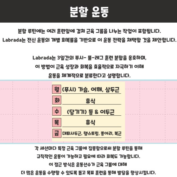 트라이던피트니스 이미지