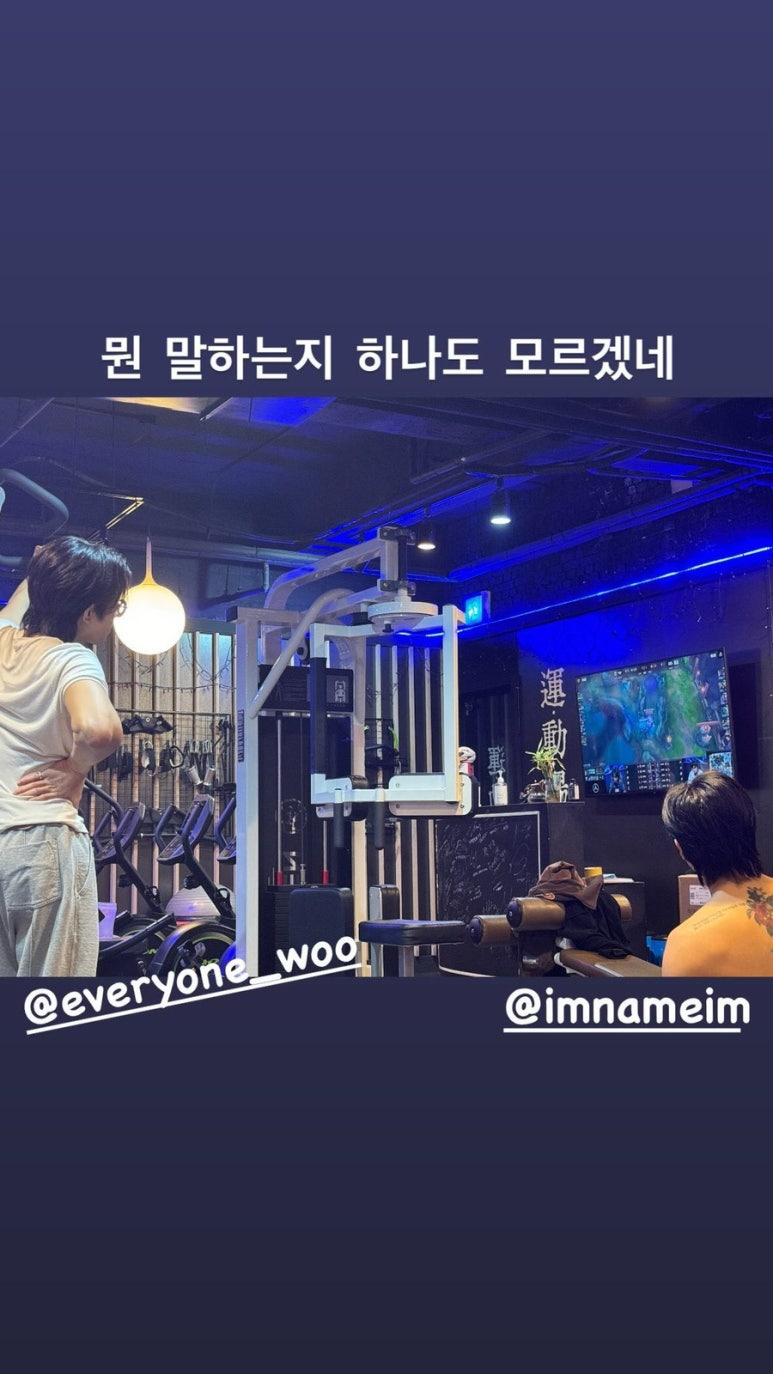 피랑 이미지
