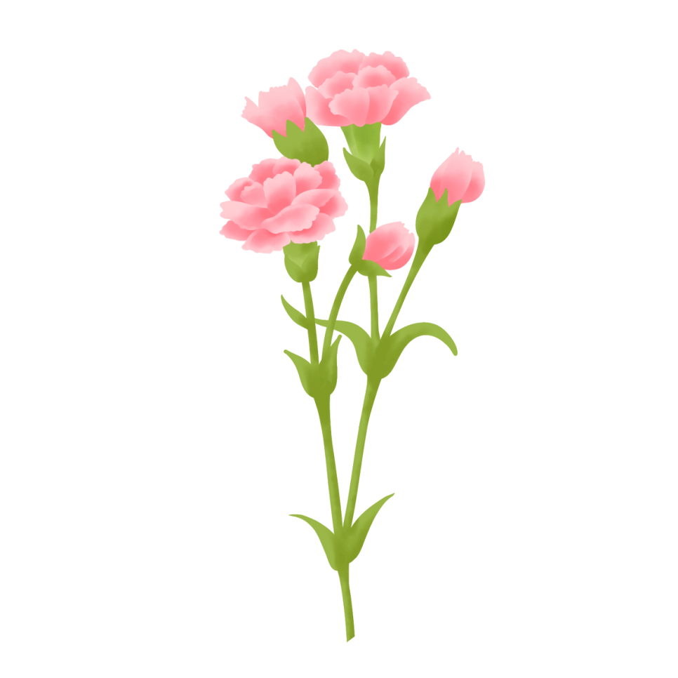 연세은혜치과 이미지