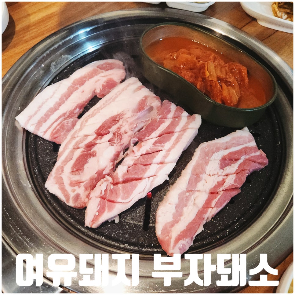 여유돼지부자돼소 이미지