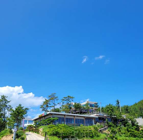 천사바다블라썸 이미지