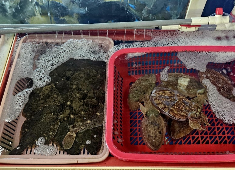 연화수산 이미지